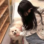 金币小游戏app下载